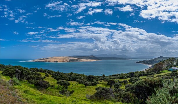 Hokianga Harbour und Sandd&uuml;nen, Northland, Neuseeland, spektakul&auml;re K&uuml;stenlandschaft mit Leptospermum scoparium, malerische Aussicht, Reiseziel, Natur, Weite, blauer Himmel, Sommer, Urlaub