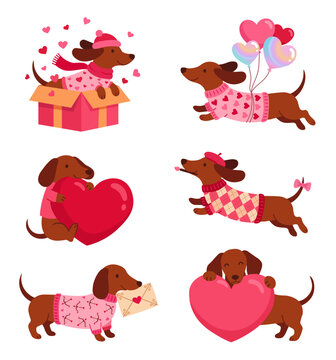 Cute cartoon dachshund dogs collection for Valentine's Day, featuring puppies with hearts, gifts, and letters in pink sweaters.