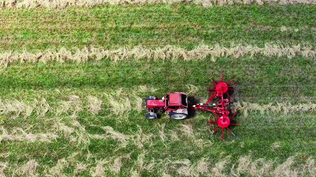 Aerial view of Tractor with red rake working on green pasture field creating neat furrows during harvest season