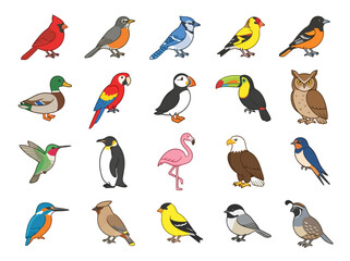 Fototapeta premium A collection of twenty colorful cartoon bird illustrations arranged in a grid.