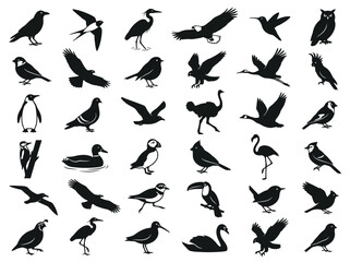 Fototapeta premium A collection of various bird species silhouettes in black and white.