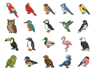 Fototapeta premium A collection of diverse bird species illustrated in a colorful cartoon style.