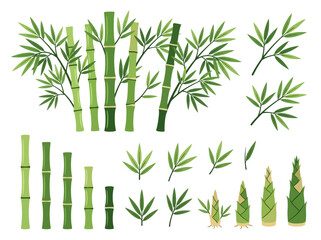 Naklejka premium A collection of various bamboo plant elements including stalks leaves and shoots.