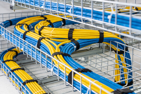 Organized blue and yellow network cables neatly managed in a wire tray