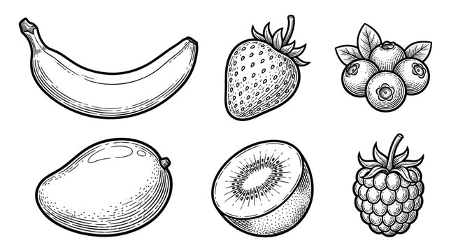 Fresh tropical fruits and berries vector illustration set in vintage engraving style