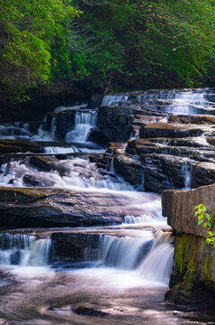 Cascades on Savage Creek in the Savage Gulf State Natural Area