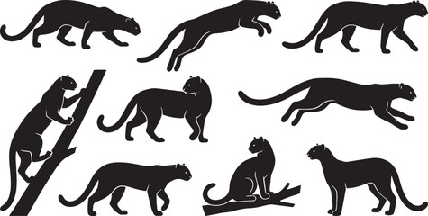 Fototapeta premium Black panther silhouettes, big cat icons, jungle animal graphics, wildlife vector set isolated on Transparent Background