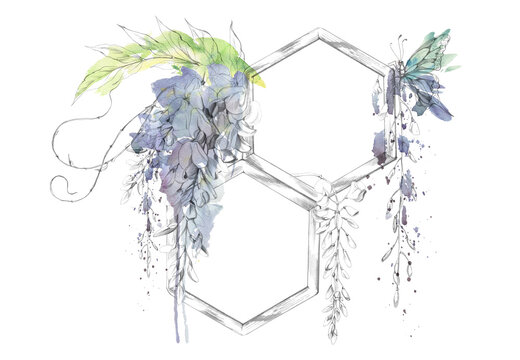 Rustic wooden hexagon trellis, flowering wisteria clusters, tendrils, perching swallowtail butterfly. Hand drawn in pencil and watercolor splashes. Garden branding, cosmetic packaging, wedding menus.