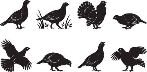 Fototapeta premium Black Grouse Bird Silhouettes, Vector Icons, Wildlife Symbols, Hunting Illustrations isolated on Transparent Background