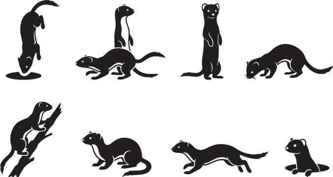 Mink silhouettes, ferret icons, black animal illustrations, vector set isolated on Transparent Background