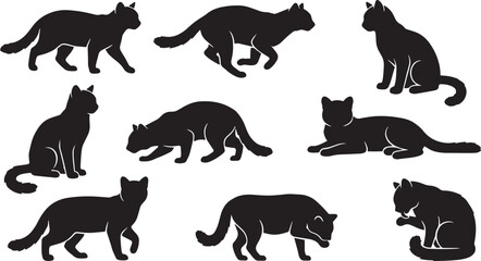 Obraz premium Black cat silhouettes, feline icons, cat poses, animal graphics, 8 silhouette set isolated on Transparent Background