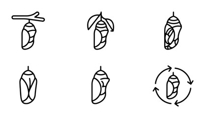 Butterfly Chrysalis Icons, Metamorphosis Stages, Insect Life Cycle Vector Set © Sharmin