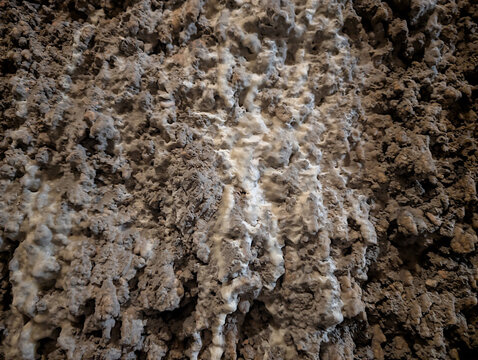 Texture delle concrezioni calcaree e dei depositi idraulici centenari