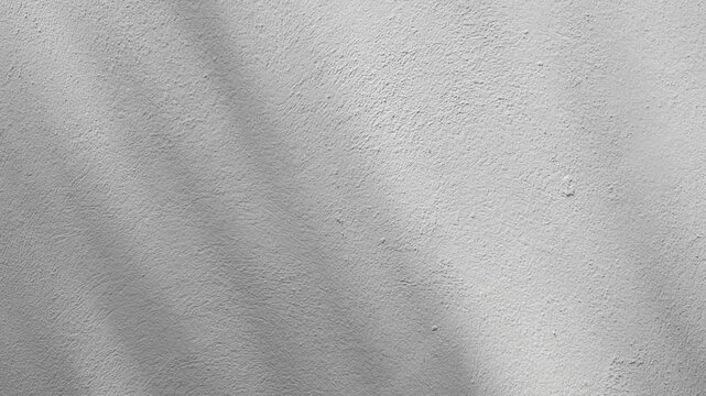 Wall interior background, studio and backdrops show products.with shadow from window color white and grey. background for text insertion and presentation product	
