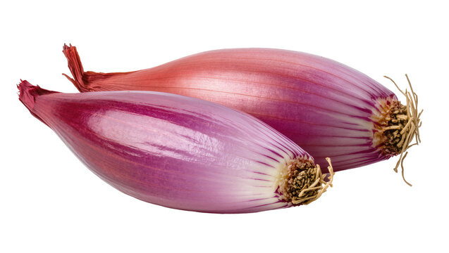 Two elongated red onions with purple skin and roots