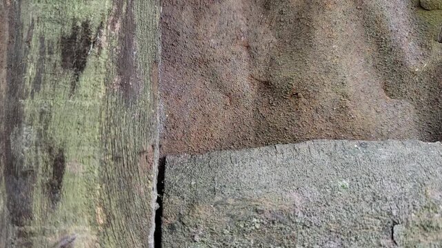 Abstract close up of weathered stone walls with contrasting gritty textures