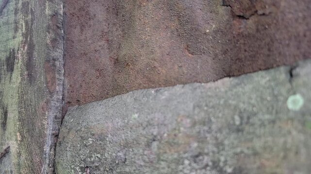 Weathered concrete surface showing textural contrast between grey and brown