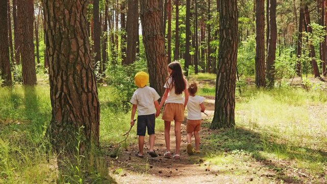 Children are exploring a forest while an older sibling walks ahead. The sun shines through the trees on a warm day. They enjoy their time outdoors