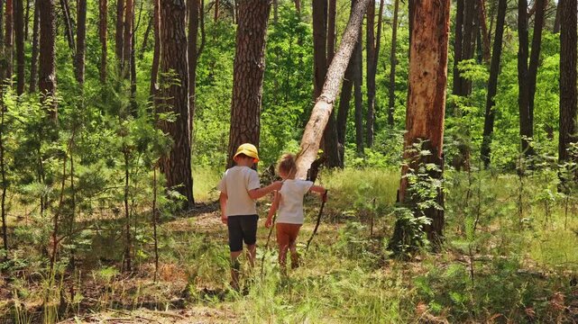 Two children walk through a forest with tall trees and green plants. They enjoy a sunny day while holding sticks in their hands