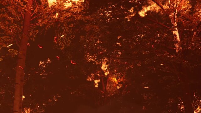 Fire spreads rapidly through trees in the forest during night. Flames and sparks fly into the air while smoke fills the surroundings. The scene shows destruction in the natural area.