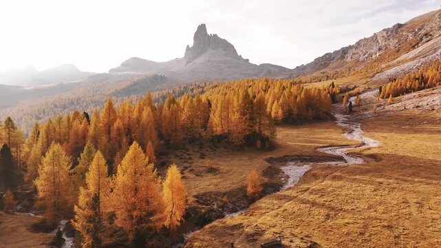 Picturesque yellow larches orange colored. Croda da Lago mountain at background, majestic landscape at autumn time.
