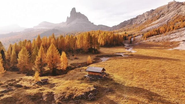 Picturesque yellow larches orange colored. Croda da Lago mountain at background, majestic landscape at autumn time.