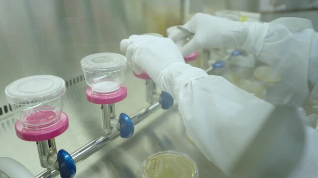 Lab staff in full gowning arrange membrane filtration funnels with pink bases on a stainless steel manifold inside a biosafety cabinet.