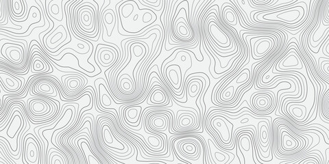 Fototapeta premium White Gray Abstract Topographic Contour Line Background with Seamless Modern Terrain Map Texture.
