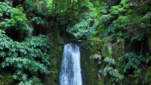 Cinematic view of Salto do Prego Waterfall on Sao Miguel Island Azores Portugal featuring cascading water moss covered volcanic cliffs dense tropical vegetation and pristine natural beauty