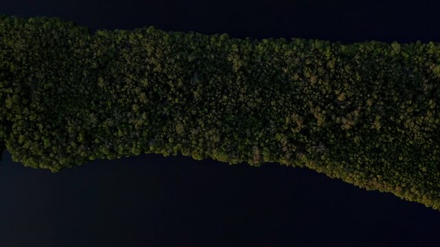 Dense tree canopy forms a long narrow strip of wetland surrounded by deep water, viewed from a high overhead drone angle.