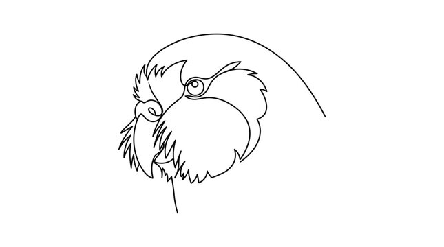 Minimalist Parrot Head Line Drawing, Single Line Art, Bird Portrait