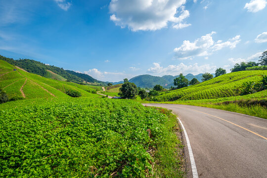 The beautiful Curve 33 highway winds through a lush green mung bean field in Mae Sot, Tak, Thailand. This scenic border road offers a stunning landscape view of rolling hills and nature.