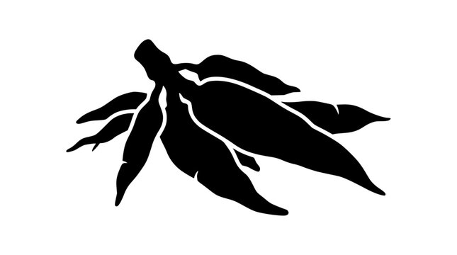 Cassava root vegetable silhouette icon isolated on white