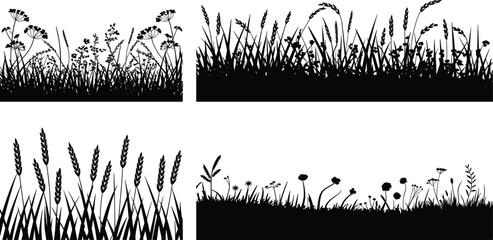 Wild Grass and Meadow Plant Black Silhouette Border Collection Isolated on White Background © MstSakila