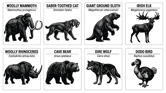 Collection of extinct Ice Age animals illustrations in black and white
