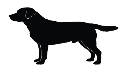 Dog stands in a classic profile stance as a bold black silhouette that functions as a versatile graphic icon for pet-related projects. © Sadee Girl