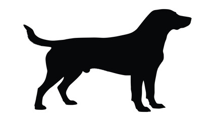 Dog silhouette stands in a side profile view against a clean white backdrop. © Sadee Girl