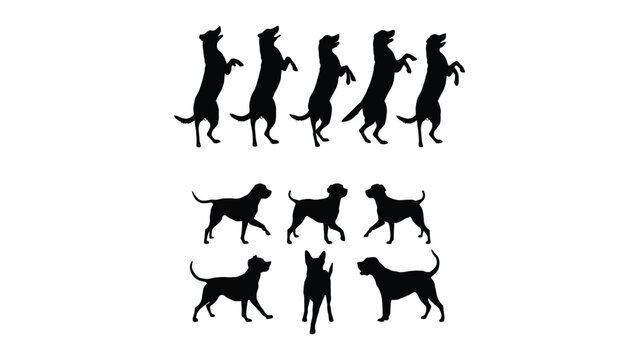 Dogs are arranged in multiple poses including standing and sitting positions.