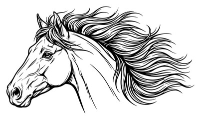 Horse head with long flowing mane in detailed equestrian line art style © Mago