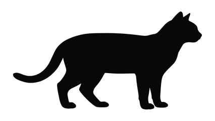 Cat silhouette features a sleek shorthair feline standing in profile against a clean white backdrop. © Sadee Girl