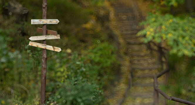 Rustic wooden signpost pointing in multiple directions on a nature trail
