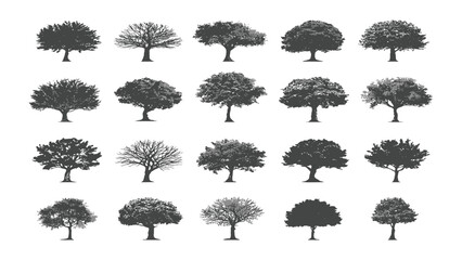Trees are organized in a grid of twenty individual illustrations representing various species. © Sadee Girl