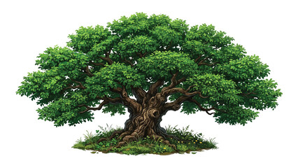 Oak tree with lush green foliage stands prominently on a small grassy mound against a white background. © Sadee Girl
