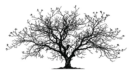 Tree silhouette features detailed leafless branches extending symmetrically across a clean white field. © Sadee Girl