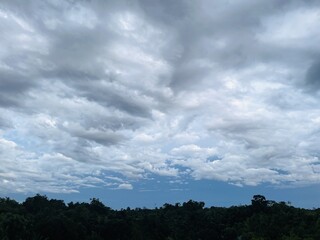 Obraz premium Dramatic storm clouds gathering over a dark forest landscape during overcast weather