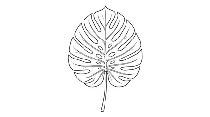 Minimalist monstera leaf line art vector, tropical botanical foliage illustration, black and white swiss cheese plant leaf outline for logo design © Muhammad