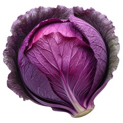 Obraz premium Fresh red cabbage isolated studio shot vibrant color healthy food