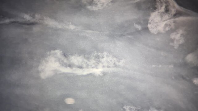 Real-time microscopic footage of milk curdling and protein coagulation with vinegar. 