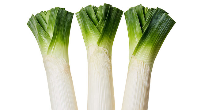 Three fresh leeks with green leafy tops, isolated on transparent background