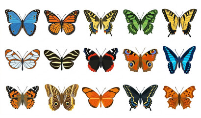 Fototapeta premium Exotic Butterfly Collection Flat Vector Set Isolated on White Background